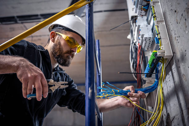 Best Commercial Electrician Services  in Davis Junction, IL