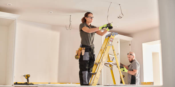 Best Affordable Emergency Electrician  in Davis Junction, IL