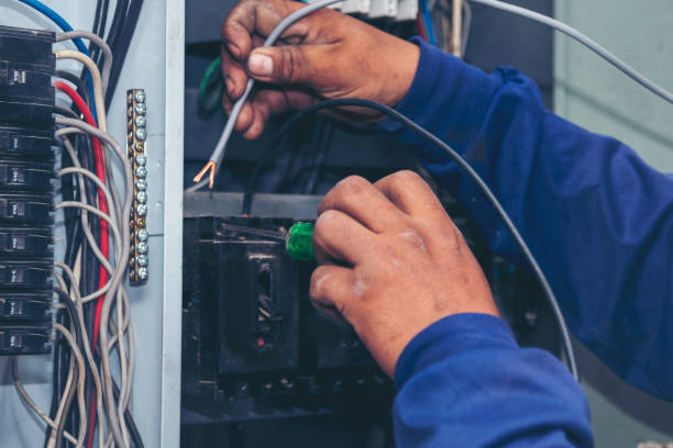 Best Electrician Near Me  in Davis Junction, IL