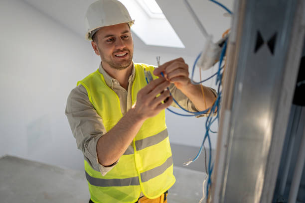 Best Electric Panel Repair  in Davis Junction, IL