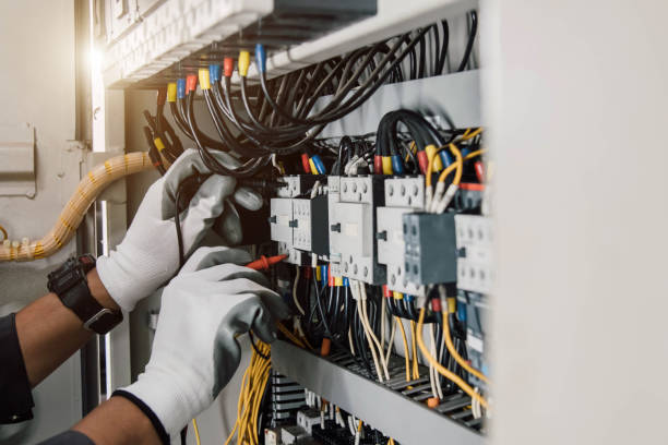 Best Electrical Rewiring Services  in Davis Junction, IL